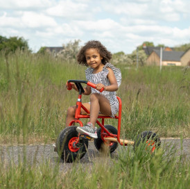 ROSE tricycle with passenger platform! ????????

Imagine a bike that's not just a ride, but a learning and playing. Our 3-wheeler with a passenger platform takes cycling to a whole new level of fun and adventure. ????

???? Designed for Comfort: With a st